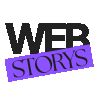 Logo: Web Storys