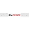 Logo: BIGinSports UG
