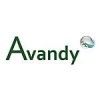 Logo: Avandy GmbH