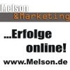 Logo: Melson & Marketing