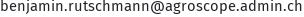 E-Mail