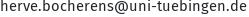 E-Mail