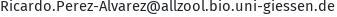 E-Mail