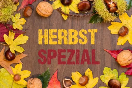 PR-Ideen im Herbst © magele-picture - stock.adobe.com
