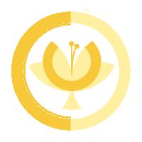 MyQuests Online Marketing Agentur Logo: MyQuests Online Marketing Agentur