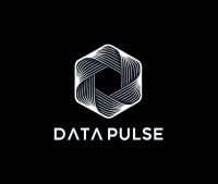 Logo: DataPulse Research