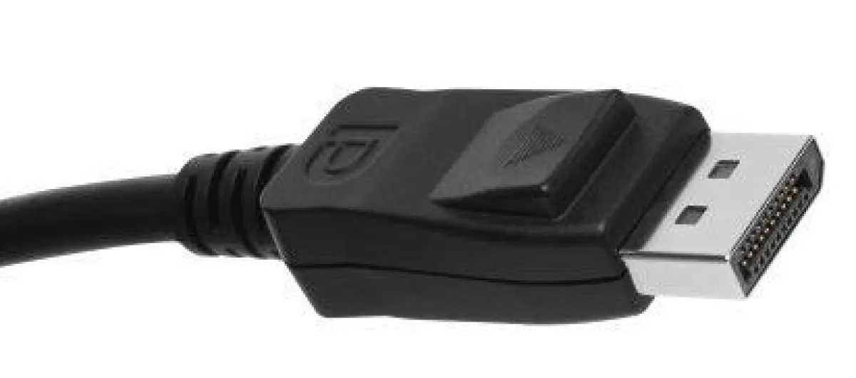 DisplayPort wird als neuer Standard bei Computer Grafikkarten gesehen.