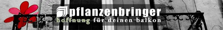 Bild: Balkonpflanzen komfortabel bei pflanzenbringer.de einkaufen