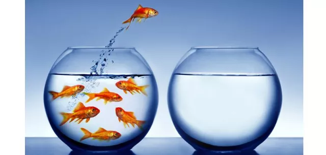 Bild: Informationsveranstaltung zur berufsbegleitenden Weiterbildung „Change Management Coach“ am 15. Januar 2019