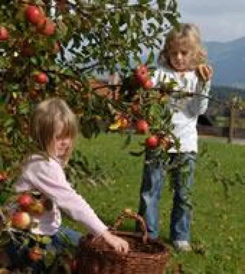 Vorsicht beim Spiel auf Wiesen - Besser nicht barfuß und in kurzen Hosen