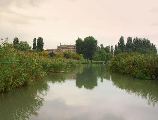 Bild: Schifffahrten unterm Sternenhimmel