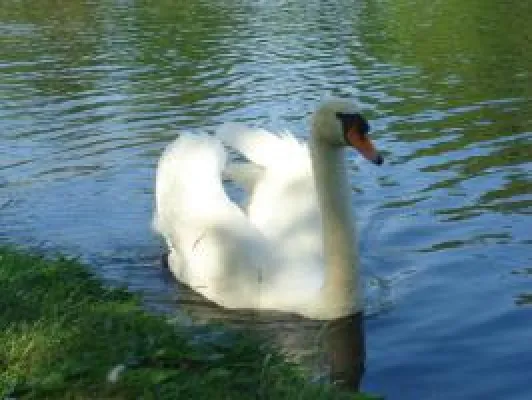 Zahnkrone aus Vollkeramik macht schöne weisse Zähne Bild: Zahnkrone aus Vollkeramik macht schöne weisse Zähne