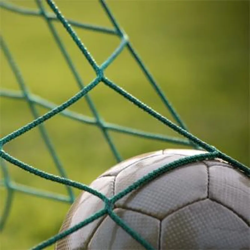 Für jeden Treffer der deutschen Elf bei der WM in Südafrika gibt es 1% Rabatt beim Kauf der Speditions- und Logistiksoftware DISPONENTplus