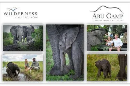 Happy Birthday Naledi - Abu Camp rettet Elefantenbaby das Leben Bild: Happy Birthday Naledi - Abu Camp rettet Elefantenbaby das Leben