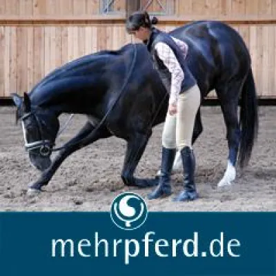 Bild: Leichter Umgang mit dem Pferd