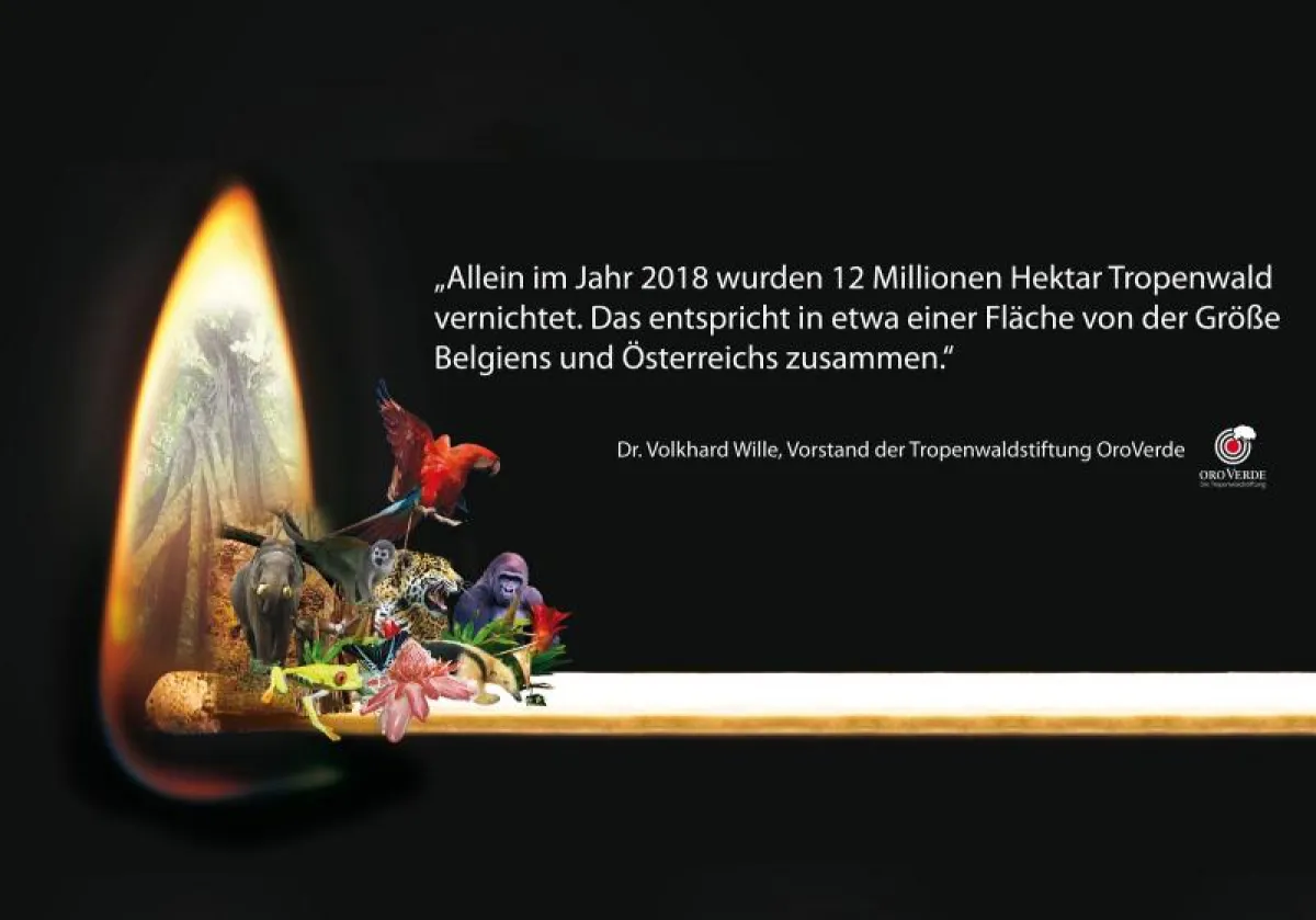 m Jahr 2018 wurden 12 Millionen Hektar Tropenwald vernichtet. © OroVerde - Die Tropenwaldstiftung