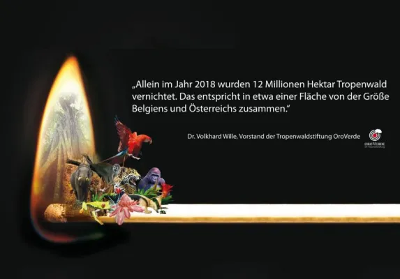 Bild: Zum 30. Tag der Tropenwälder 2019 // Europa muss Handeln