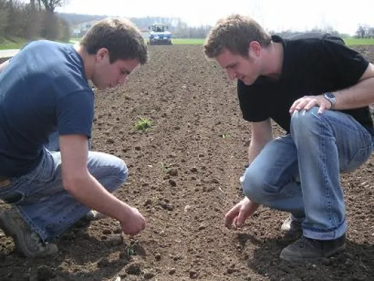 Bild: Hanflabyrinth vor den Toren Münchens