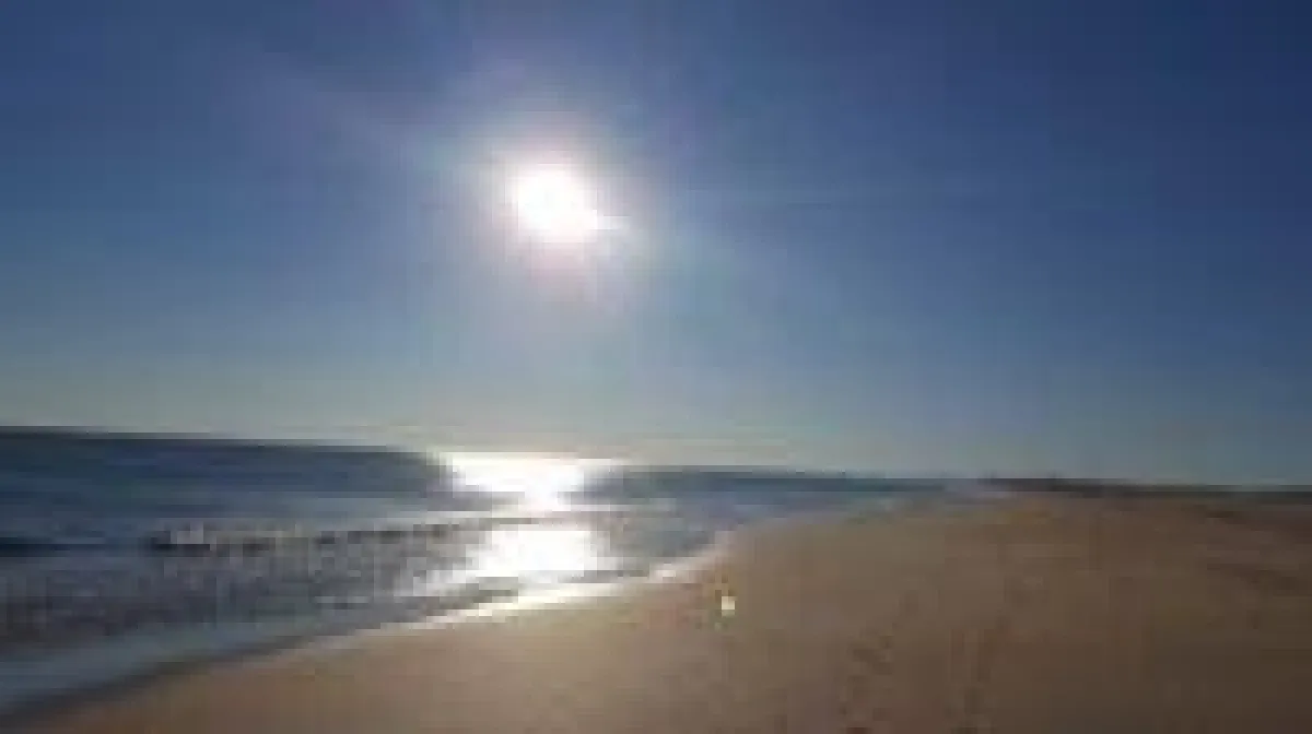 Der gemeinsame Freund: das Licht des Lebens