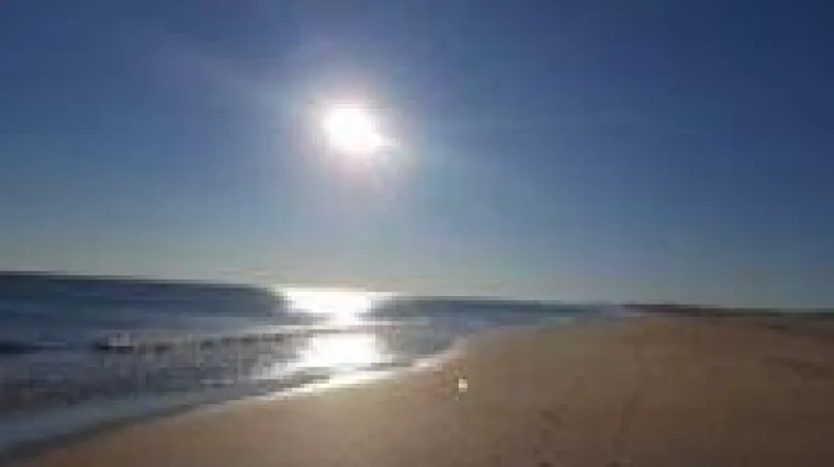 Bild: Wir haben einen gemeinsamen Freund