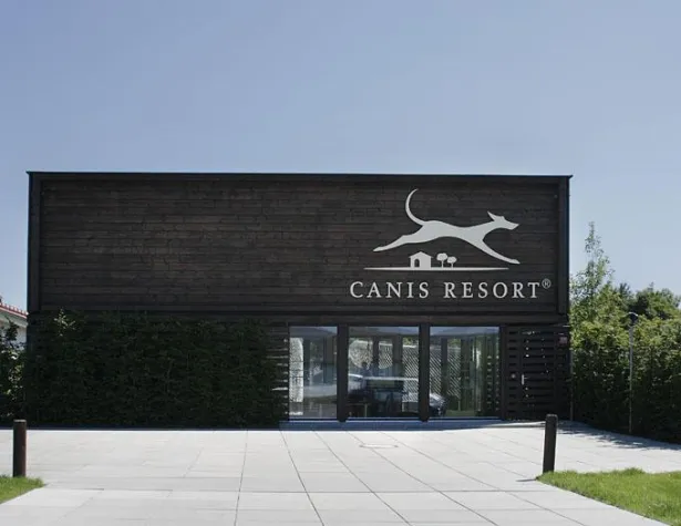 Bild: Einladung zur Hochzeit oder zum Firmen-Event? Der Hund kommt mit