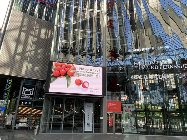 Bild: Welche Früchte können von tausend Jahre alten Bäumen getragen werden?