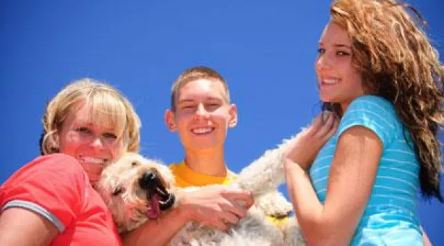 Bild: Urlaub mit Haustier: Mit Hund bei Hogenboom