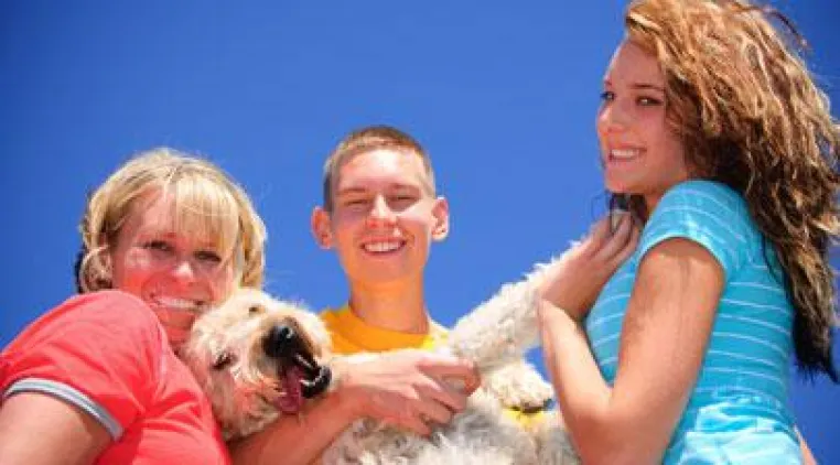 Urlaub mit Haustier: Mit Hund bei Hogenboom Bild: Urlaub mit Haustier: Mit Hund bei Hogenboom