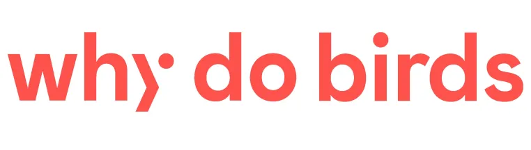 Bild: why do birds entwickelt erstes Audio Branding für Godrej Industries Group