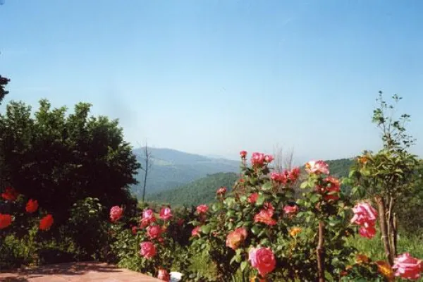 Bild: Agriturismo Villa La Rogaia Ferienwohnungen in Umbrien, Italien Entspannen, Sonne tanken, Dolce Vita genießen