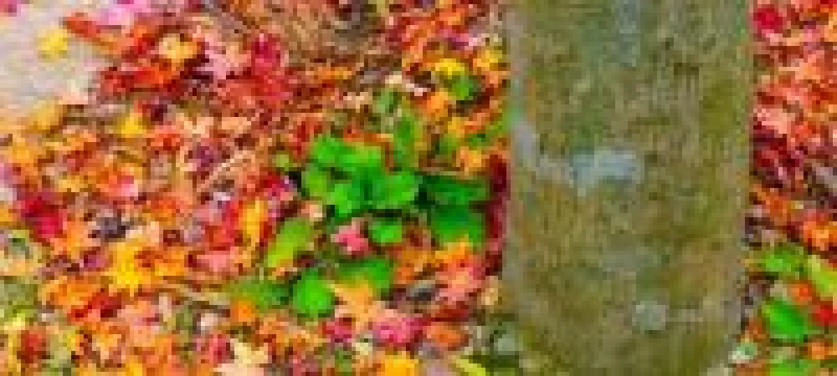Das Thema für die Oktober-TrendBox lautet Farbenspiel