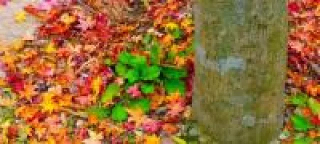 Bild: Die Oktober-TrendBox bringt Farbe ins Spiel