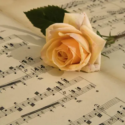 Bild: Mehrwertsteuer bei Drucksachen ab 7 Prozent