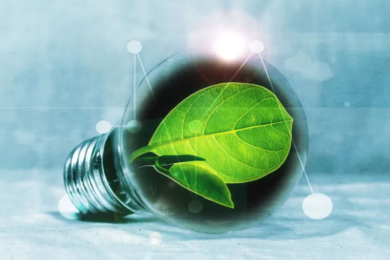Wurzer Umwelt - Bioenergiezentrum als Vorreiter für erneuerbare Energie aus Bioabfällen Bild: Wurzer Umwelt - Bioenergiezentrum als Vorreiter für erneuerbare Energie aus Bioabfällen