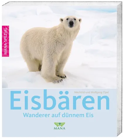 Bild: Die EISBÄREN kommen