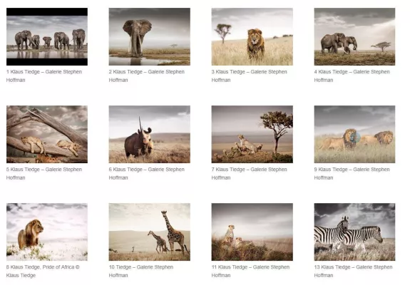 Bild: Ausstellung „Pride of Africa – limitierte Original-Photographien“ von Klaus Tiedge