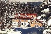 Bild: Winterurlaub im Bayerischen Wald und der Hund ist dabei