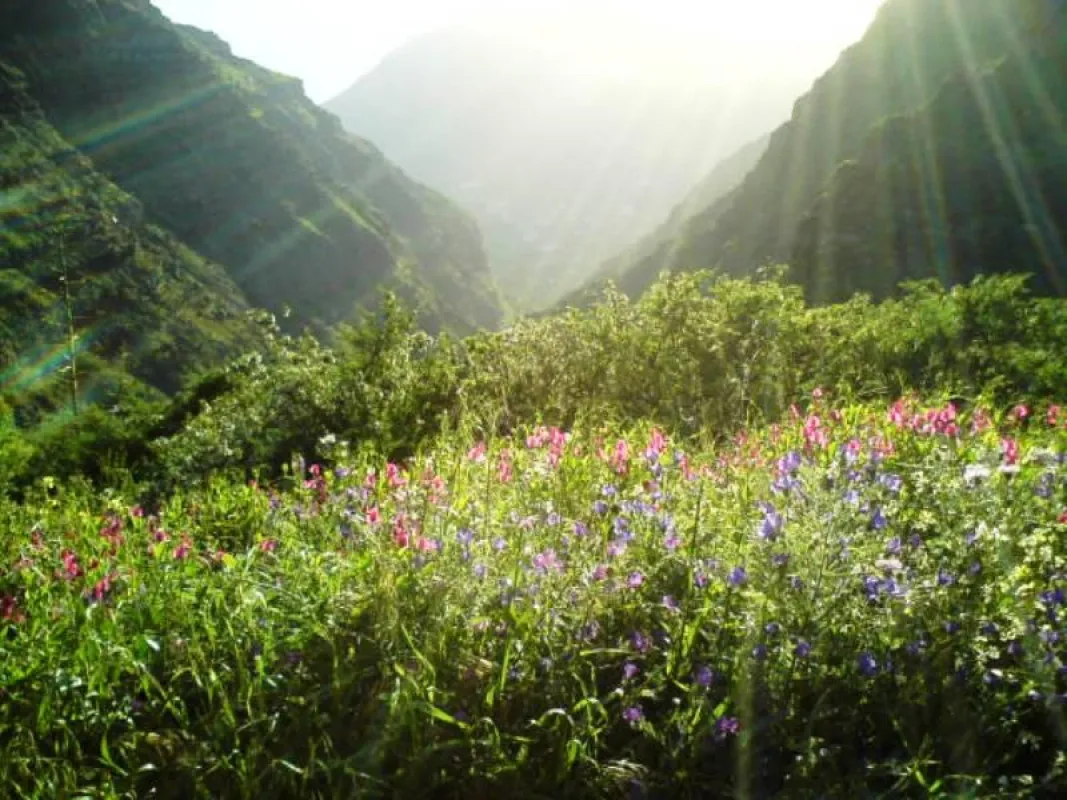 Frühling auf La Gomera, copyright Manon Happach