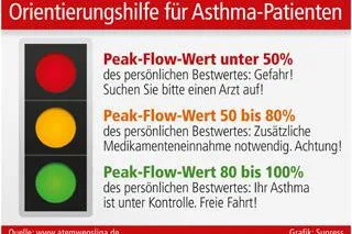 Bild: Orientierungshilfe für Asthma-Patienten