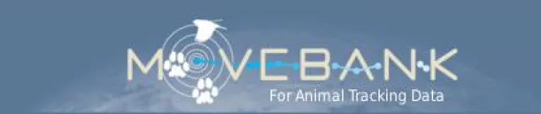 Neuer Webauftritt von Movebank Bild: Neuer Webauftritt von Movebank