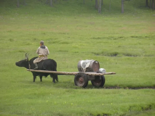 Bild: Mongoleireisen bei Indytravel werden vielen Wünschen gerecht