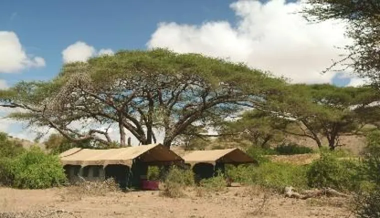 Wilde Safari Romantik am Fuße des Kilimanjaros Bild: Wilde Safari Romantik am Fuße des Kilimanjaros