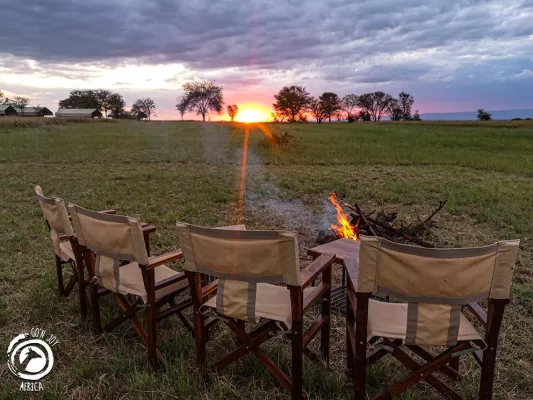 Bild: Go’n joy Africa organisiert vegane Safaris in Tansania