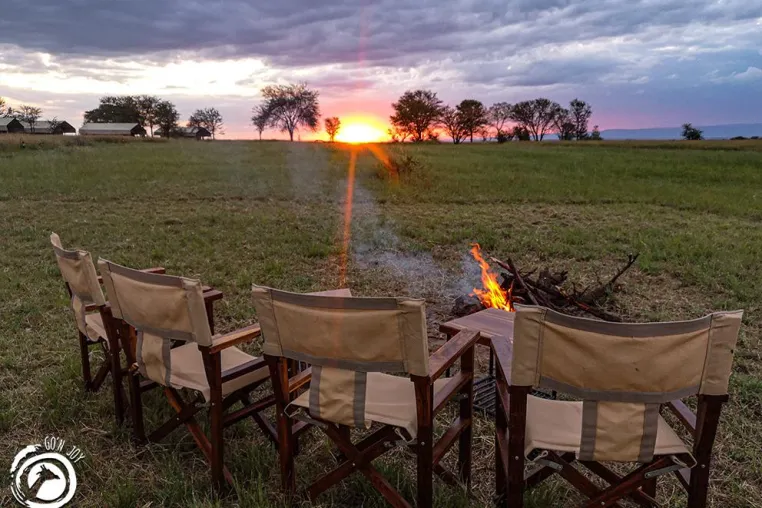 Go’n joy Africa organisiert vegane Safaris in Tansania Bild: Go’n joy Africa organisiert vegane Safaris in Tansania