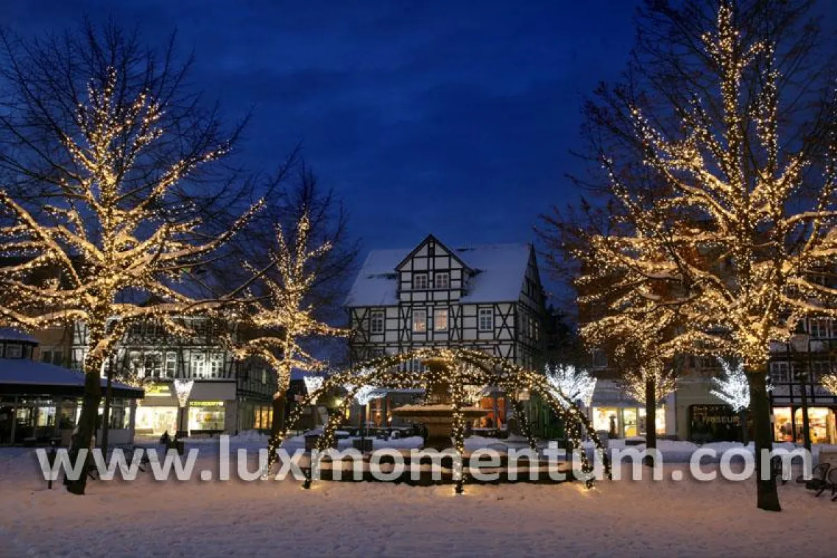 LUX MOMENTUM - Baumillumination