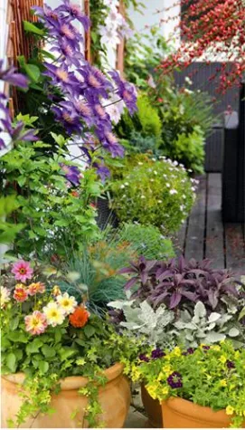 Bild: Für Dachgartenbegrünung Spezialerde verwenden