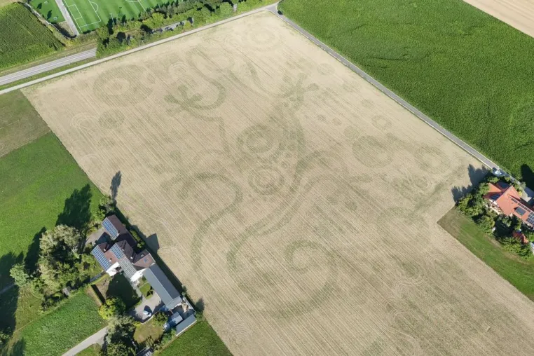 Bild: Monumentales Naturkunstwerk entsteht an bislang geheim gehaltenem Ort in Deutschland