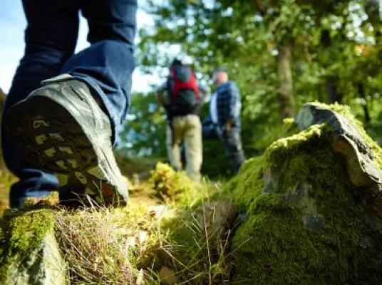 Wandern entlang Weinorten von Koblenz nach Trier - Mosel-Camino durch das Ferienland Bernkastel-Kues Bild: Wandern entlang Weinorten von Koblenz nach Trier - Mosel-Camino durch das Ferienland Bernkastel-Kues