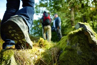 Wandern entlang Weinorten von Koblenz nach Trier - Mosel-Camino durch das Ferienland Bernkastel-Kues Bild: Wandern entlang Weinorten von Koblenz nach Trier - Mosel-Camino durch das Ferienland Bernkastel-Kues