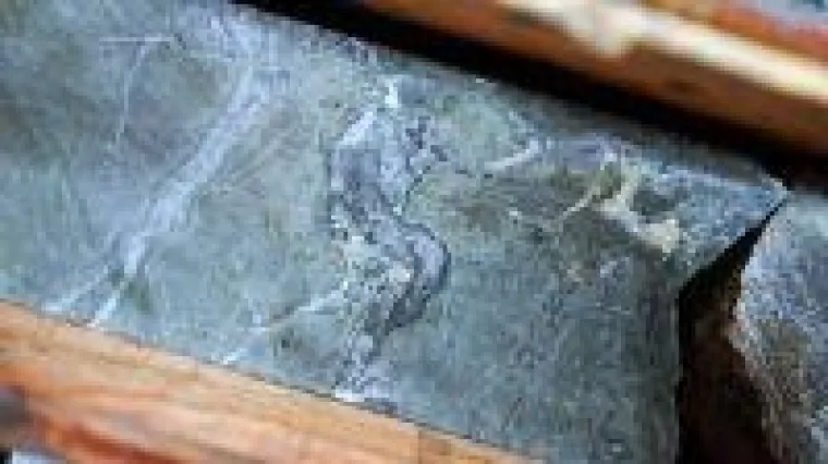 Bild: Mit Aktien gewinnen